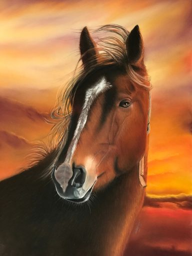 un cheval au coucher de soleil